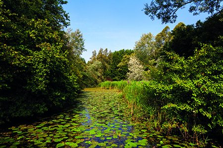 Beleef de Biesbosch